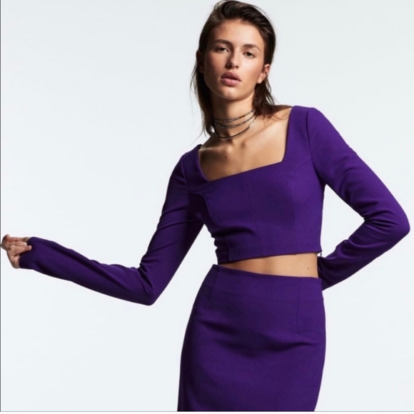 NEW! ZARA Long Sleeve Cropped Open Back Square Neck Bustier Style Top Purple - Picture 1 of 11